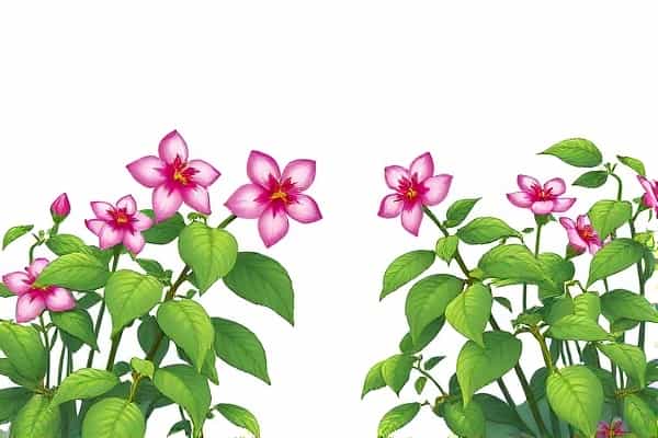 终结者：黑暗命运-梦到吃了别人养的鱼插图