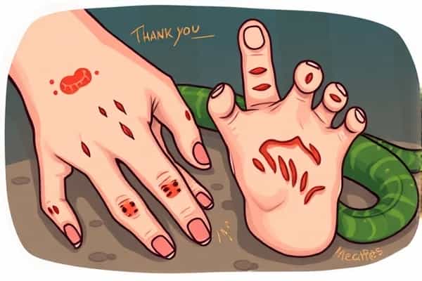 最近的远方-梦见励志电影解说配乐bgm插图