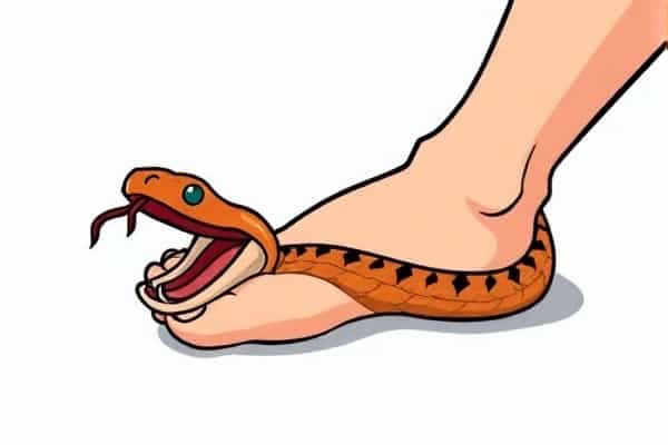 毒液：致命守护者-梦见一只小猫把自己咬了插图